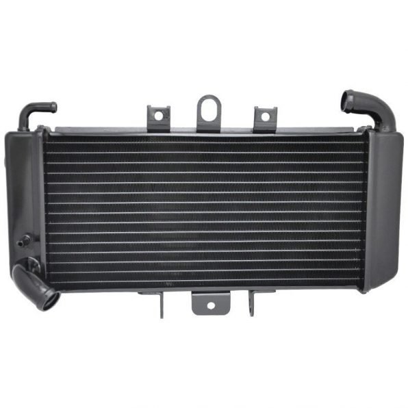 FZS600 Yamaha Black Radiator