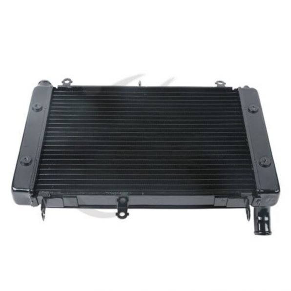 Radiator For Yamaha FZS1000