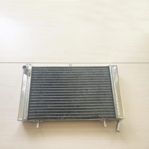 APRILIA RS125 Radiator For Riders