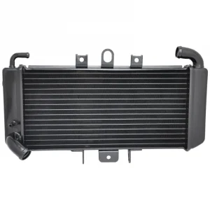 FZS600 Yamaha Black Radiator 