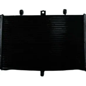 Kawasaki Versys 1000 Radiator 2012–2014