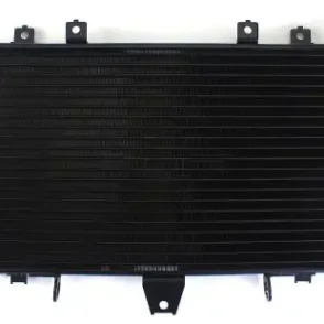 Kawasaki ZRX 1200R Radiator 2001-2005