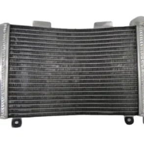 Aprilia RS 250 Radiator 1995-2002