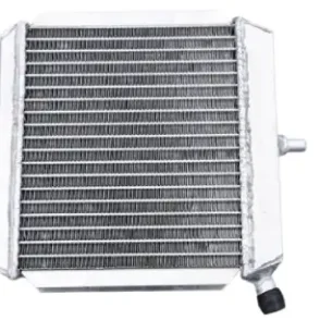 Aprilia RS 50 Radiator 1993-2023