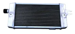 Triumph Speed Twin 1200 Radiator 2019–2023