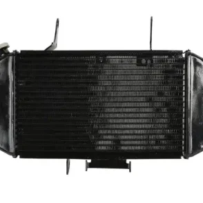 Suzuki V-Strom DL 650 Radiator 2004-2011