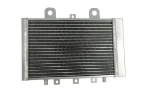 Triumph Adventurer 900 Radiator 1996-2001