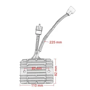 Ducati 1198 Regulator 2009-2011