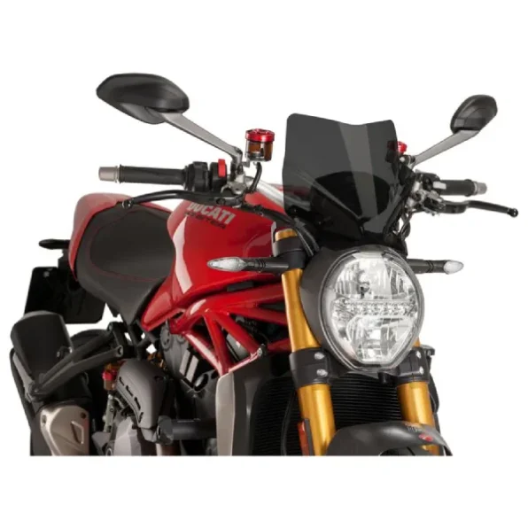 Ducati Monster 797 Windscreen 2017-2021